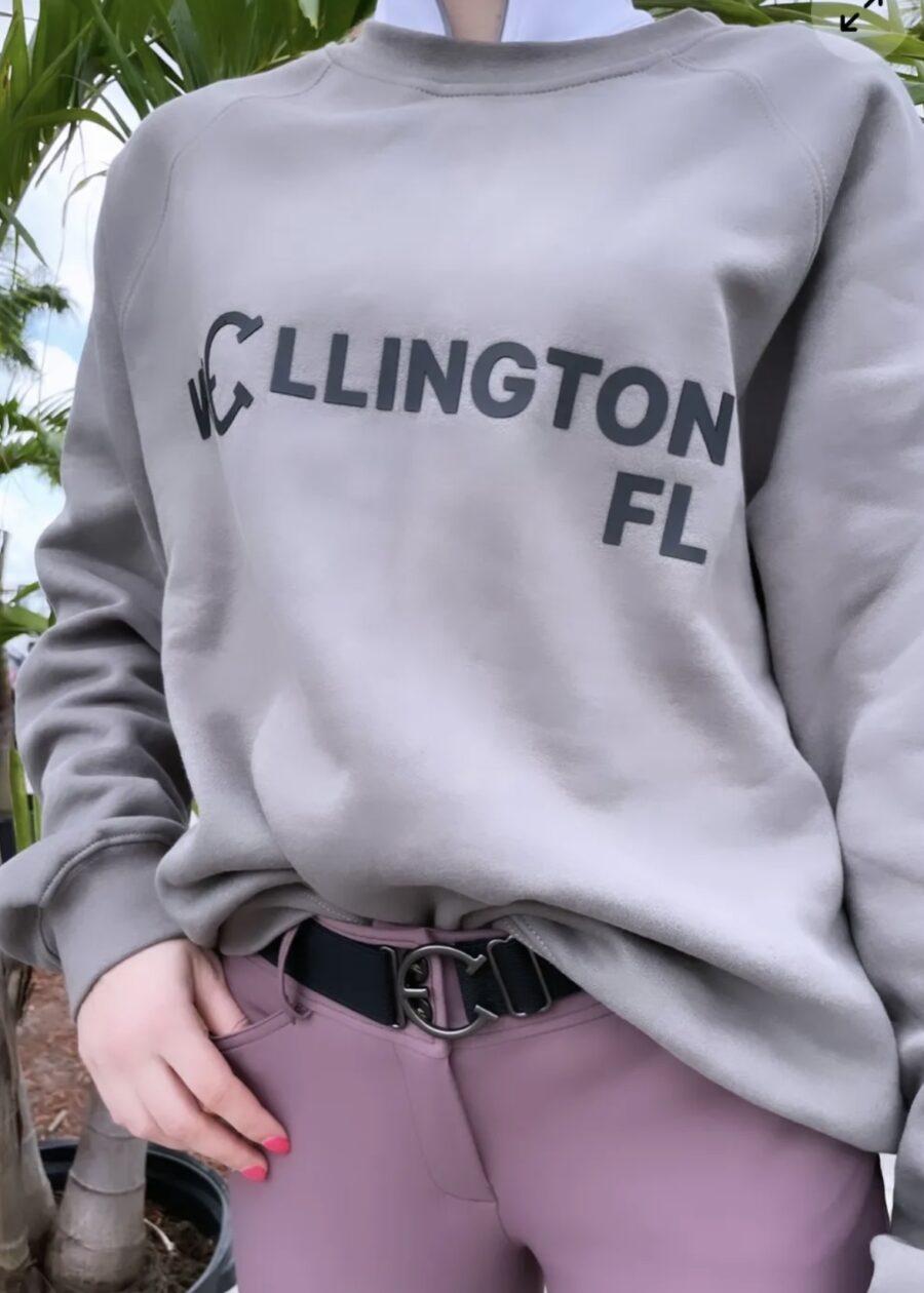 Person wearing a grey sweatshirt with 'Ellington FL' printed on it.