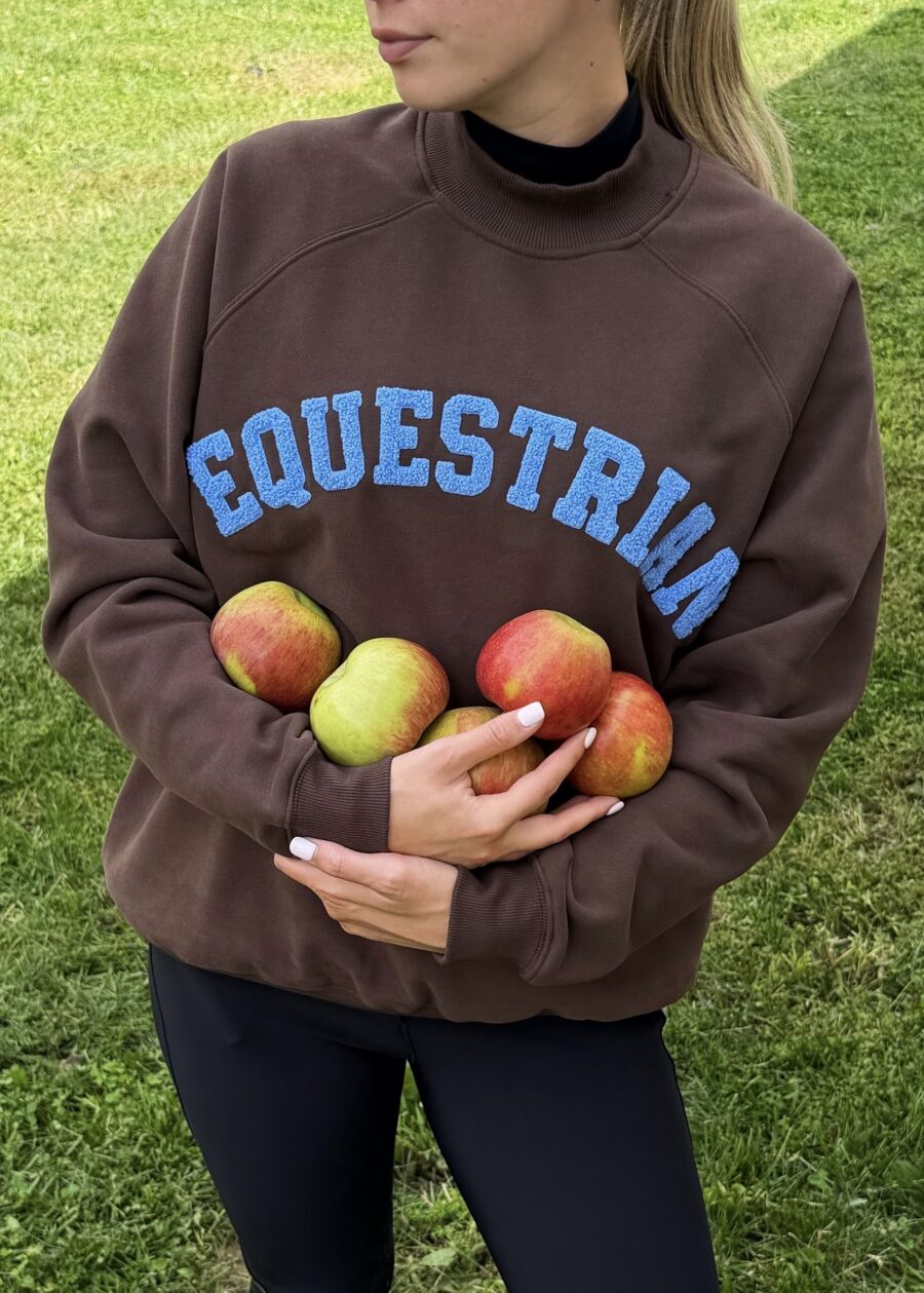 EQ VARSITY Sweatshirt - Image 6