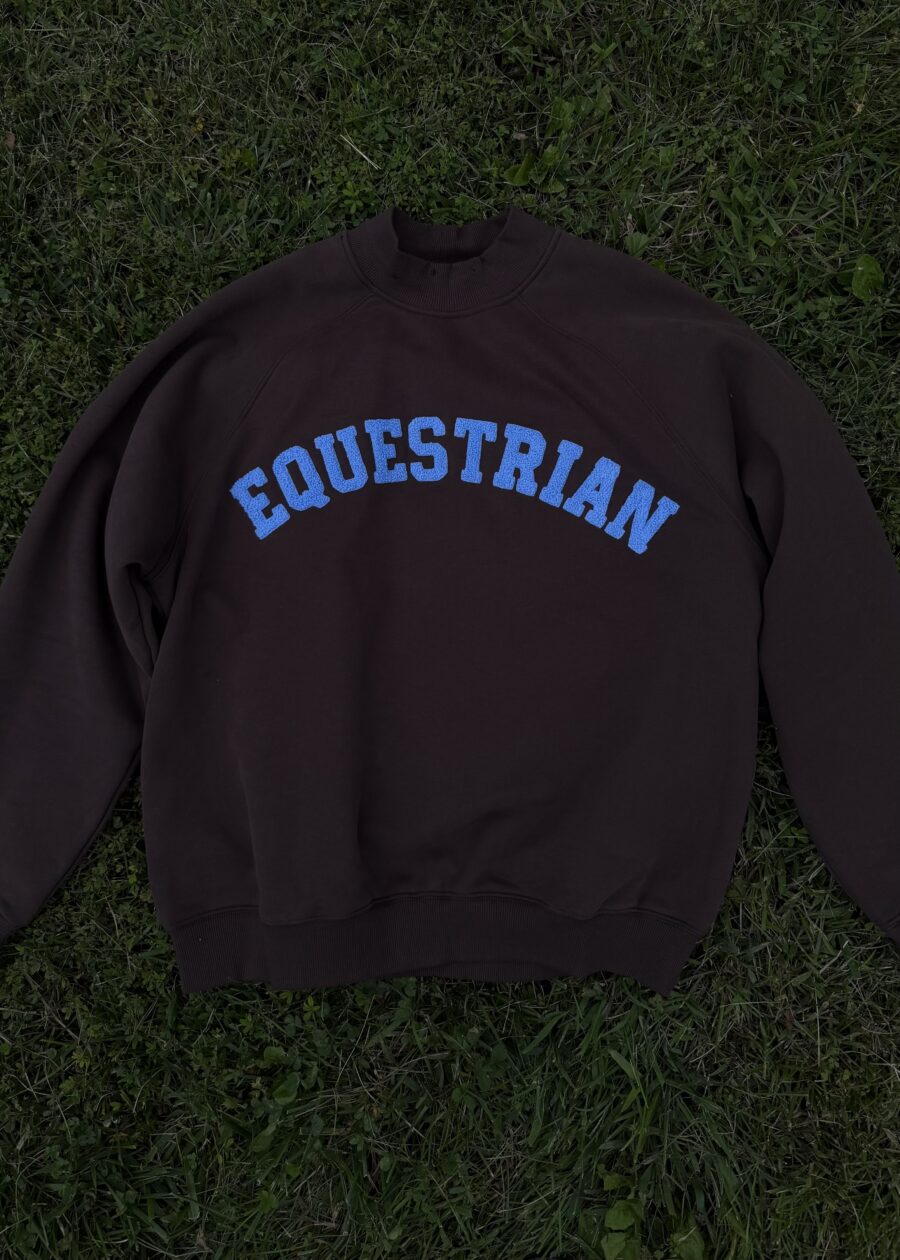 EQ VARSITY Sweatshirt - Image 2