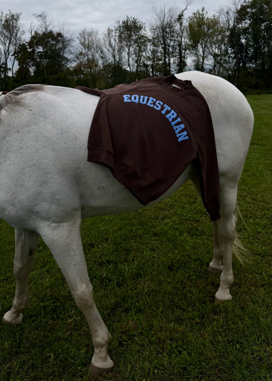 EQ VARSITY Sweatshirt